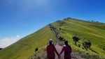 Menikmati Indahnya Panorama Merbabu di Ketinggian 3.142 mdpl
