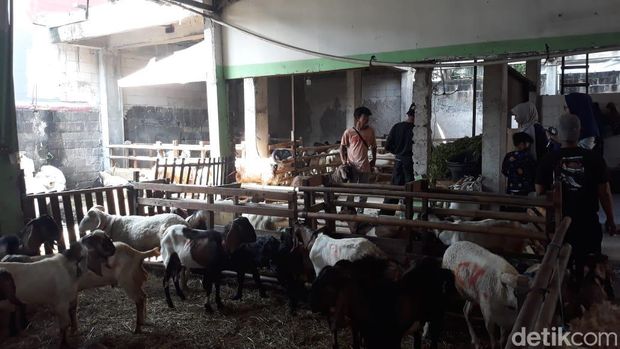 Penjualan Hewan Kurban saat Idul Adha 1444 H