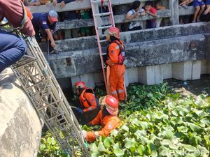 Petugas Terjunkan Crane Evakuasi Sapi Kurban Kabur Nyemplung Bozem di Surabaya