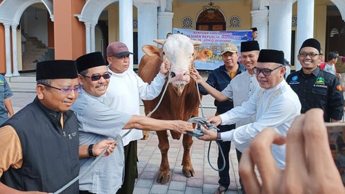 Sapi sumbangan presiden Joko Widodo akan disembelih di Dusun Ombererot Desa Ombe Kecamatan Kediri Lombok Barat, Rabu (28/6/2023).