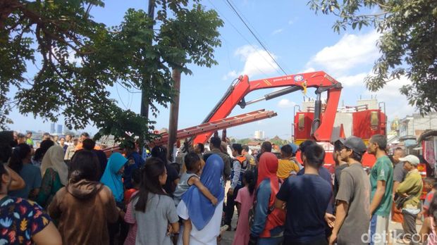 sapi kurban kabur hingga nyemplung bozem krembangan surabaya