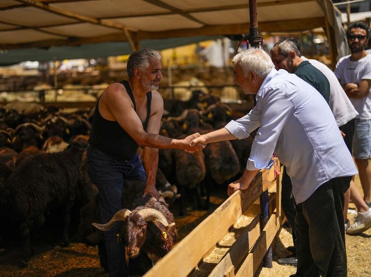 Uniknya Tawar Menawar Harga di Festival Kurban Turki