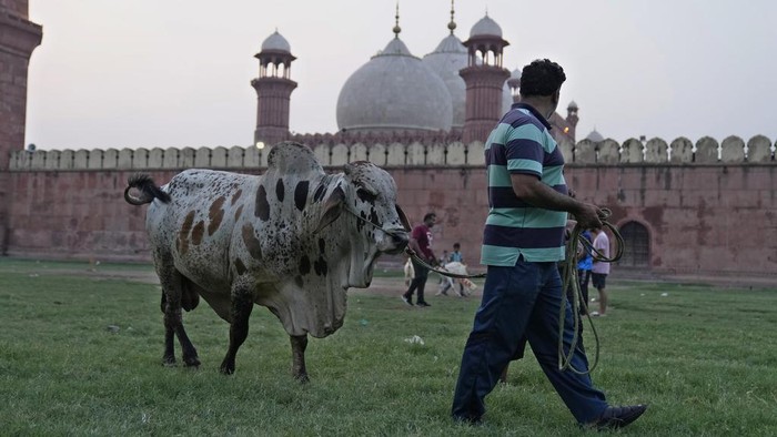 People travel on the rooftop of commuter buses to reach their towns and villagers ahead of Muslim Eid al-Adha, or Feast of Sacrifice holiday, in Lahore, Pakistan, Tuesday, June. 27, 2023. (AP Photo/K.M. Chaudary)