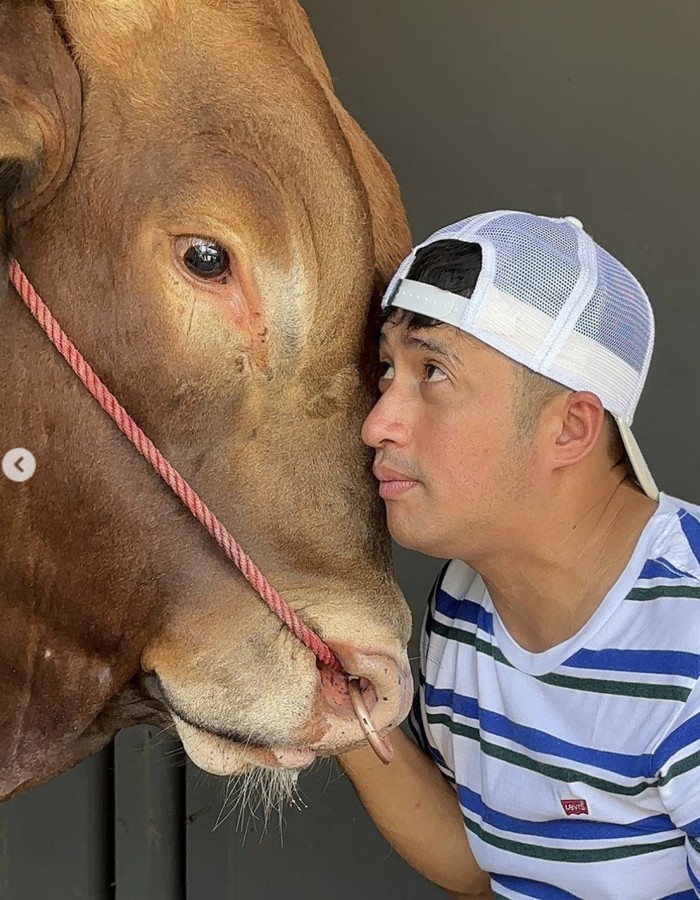 10 Momen Irfan Hakim Bersama Golden dan Wariso Sebelum Disembelih