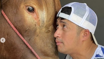 7 Potret Artis Bersama Sapi Kurban 1 Ton yang Disembelih