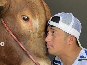 7 Potret Artis Bersama Sapi Kurban 1 Ton yang Disembelih