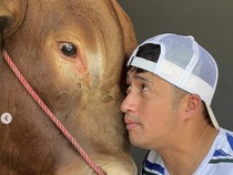 7 Potret Artis Bersama Sapi Kurban 1 Ton yang Disembelih