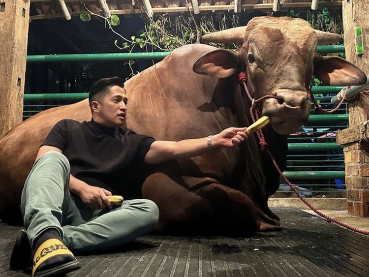 10 Momen Irfan Hakim Bersama Golden dan Wariso Sebelum Disembelih