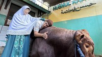 Bismillaaah ya Mah …. tulis Irfan Hakim yang hendak melepas kepergian Golden. Ia pun tampak memeluk sapi jumbo itu. Foto: Instagram irfanhakim75