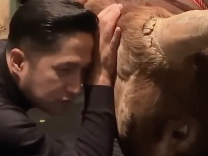 10 Momen Irfan Hakim Bersama Golden dan Wariso Sebelum Disembelih