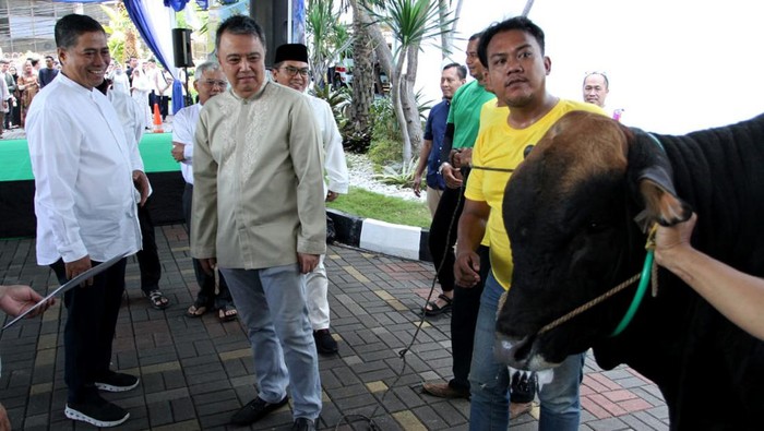 650 Hewan Qurban untuk Masyarakat yang Membutuhkan Sekitar 650 hewan qurban yang terdiri dari 305 ekor sapi dan 320 ekor kambing yang dikumpulkan dari para Pejabat, pegawai, dan istri pejabat di kantor pusat maupun kantor cabang se Indonesia.