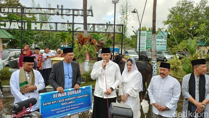 AHY serahkan 3 sapi kurban ke Masjid Agung Pacitan