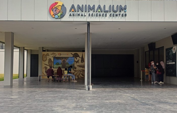 Animalium BRIN Bogor Animalium BRIN Bogor