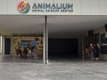 Video Liburan Sambil Belajar Berbagai Hewan di Animalium!
