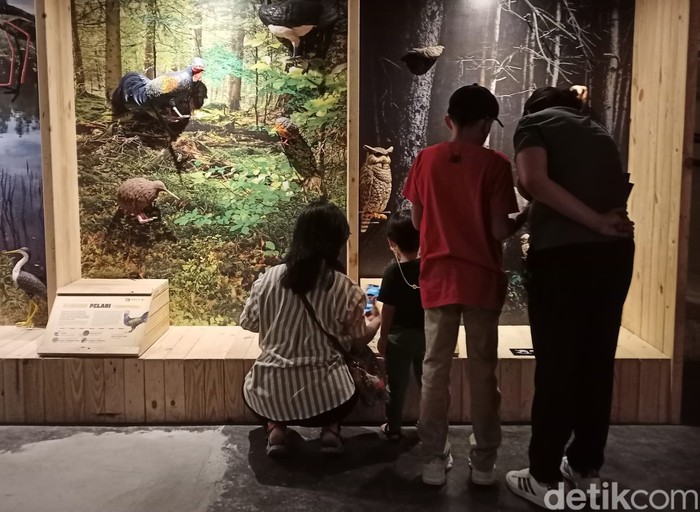 Animalium BRIN Bogor Animalium BRIN Bogor