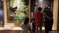 Untuk masuk ke dalam Animalium pengunjung harus membeli paket edukasi. Harga paket edukasi dibanderol mulai dari Rp 75 ribu sampai Rp 100 ribu.