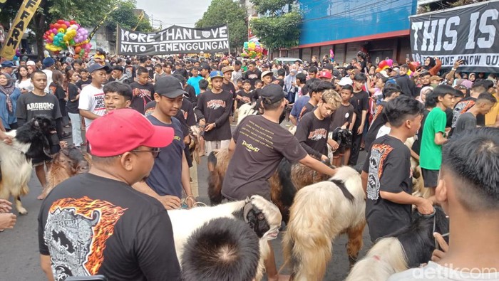 Arak-arakan hewan kurban kota Malang