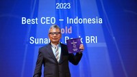 Pada kategori Best Companies in Asia-Indonesia, BRI mendapatkan 8 penghargaan diantaranya Best CEO, Best CFO, Best Financial Company, Best ESG (Environmental, Social & Governance), Best DEI (Diversity, Equity, and Inclusion), Best Investor Relations, Best-Large Cap Company, dan Best Managed Company.