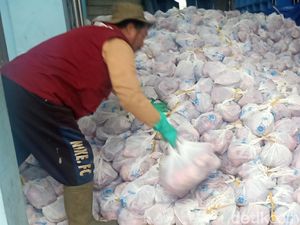Banjir Daging! Desa Batur Banjarnegara Kurban 189 Sapi-416 Kambing Tahun Ini