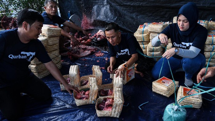 Bye Plastik! Pembagian Daging Hewan Kurban di Sini Pakai Besek Petugas mengemas daging hewan kurban ke dalam besek di tempat pemotongan hewan kurban Bank Syariah Indonesia, Jakarta, Kamis (29/6/2023). Pengemasan daging hewan kurban dengan besek yang ramah lingkungan tersebut sebagai langkah mengurangi penggunaan kantong plastik sesuai dengan surat Menteri Lingkungan Hidup dan Kehutanan nomor SE.6/MENLHK/PSLB3/PLB.3/6/2023 tentang Pelaksanaan Hari Raya Idul Adha tanpa Sampah Plastik. ANTARA FOTO/Sigid Kurniawan/tom.