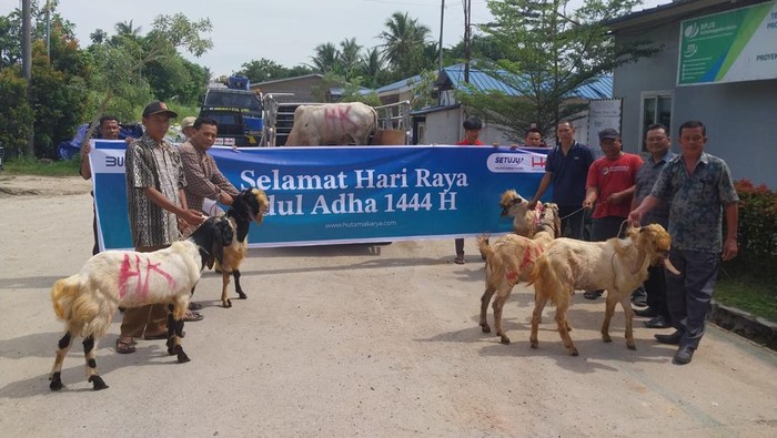 Executive Vice President (EVP) Sekretaris Perusahaan Hutama Karya Tjahjo Purnomo menyampaikan di tahun ini Hutama Karya menyediakan ratusan hewan kurban berkualitas.