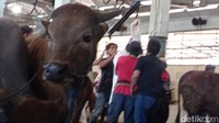 Selain petugas kesehatan, RPH Ciroyom DKPP Kota Bandung juga menerjunkan 12 tukang jagal. Para penjagal ini merupakan penjual hewan kurban.