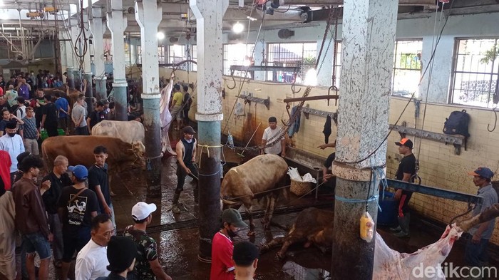 Geliat penyembelihan hewan kurban di RPH Bandung Geliat penyembelihan hewan kurban di RPH Bandung