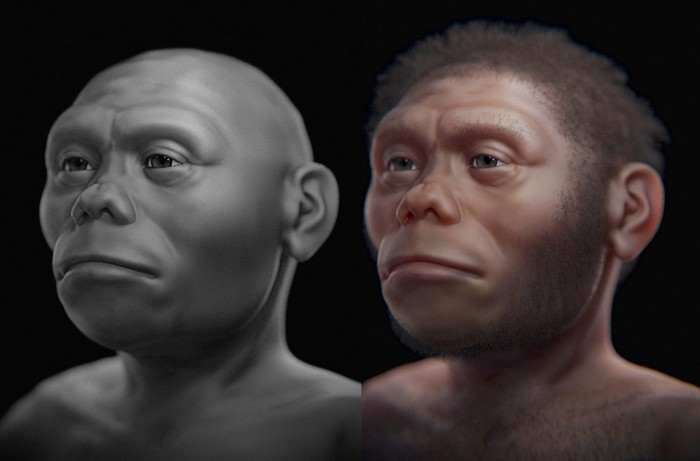 Hasil rekonstruksi wajah Homo floresiensis, kerabat manusia yang tinggal di Flores, NTT belasan ribu tahun lalu