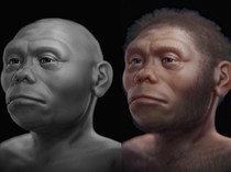 Kisah Homo Floresiensis yang Diduga Masih Hidup di RI, Ini Faktanya!