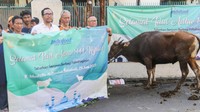 Penyerahan bantuan hewan kurban Grup Indofood tersebut ditandai dengan penyerahan secara simbolis oleh Head of CSR Departemen PT Indofood Sukses Makmur Tbk Bimantoro Panji Triadi di RW 01 Kelurahan Setiabudi, Jakarta Selatan, tepatnya di Mushalah Al Mubarak.