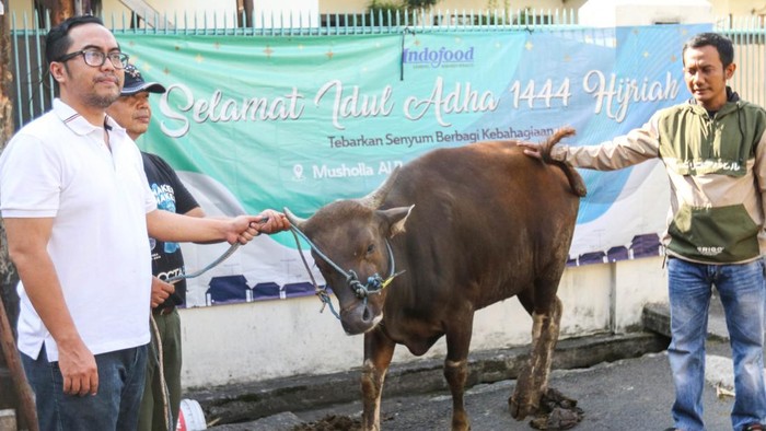 Dalam rangka memperingati Hari Raya Idul Adha 1444 Hijriah, PT Indofood Sukses Makmur Tbk menyalurkan bantuan hewan Qurban, Jakarta, Kamis (29/6/2023).