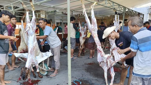 LDII menerima penambahan hewan kurban sebanyak 15 persen pada Idul Adha 2023 dibanding 2022 menjadi 115 sapi dan 244 kambing.
