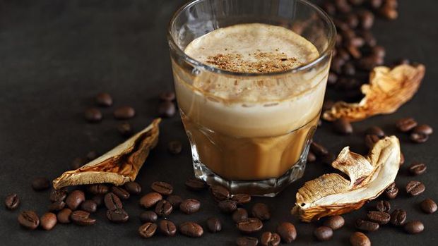 Nikmat Segar! 5 Manfaat Kopi Jamur Untuk Kesehatan Tubuh