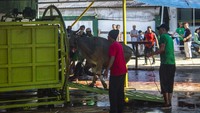 Panitia hewan kurban Masjid Al Jihad pada Idul Adha 1444 Hijriah menyembelih hewan kurban 84 ekor sapi menggunakan alat pemotong mekanis. Alat ini dapat merampungkan penyembelihan dalam waktu lima menit untuk seekor sapi. 