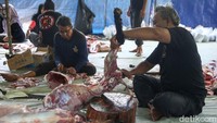 Semua hewan kurban sumbangan dipastikan dalam keadaan sehat.  
