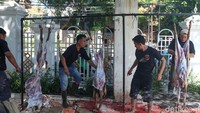 Sejumlah petugas kurban tengah melakukan pemisahan kulit, daging dan tulang.