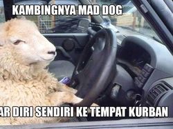 Meme Idul Adha yang Bikin Jadi Baper