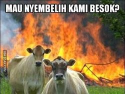 Meme Idul Adha yang Bikin Jadi Baper