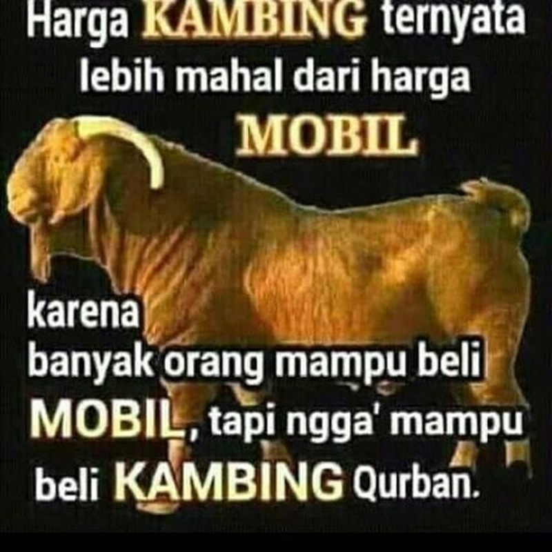 Meme Idul Adha