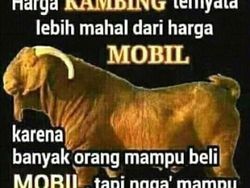 Meme Idul Adha yang Bikin Jadi Baper