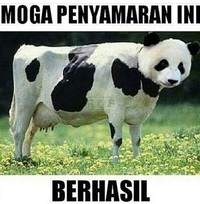 Meme Idul Adha
