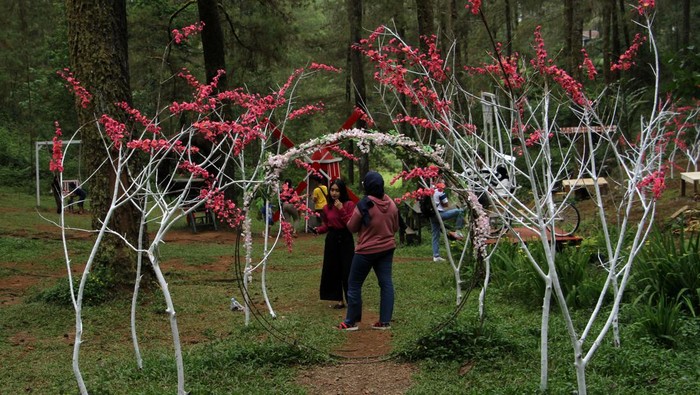 Mengisi Liburan di Objek Wisata Hutan Pinus Malino Gowa Pengunjung menikmati suasana di area wisata Hutan Pinus Malino di Kabupaten Gowa, Sulawesi Selatan, Kamis (29/6/2023). Pengelola area wisata tersebut menyiapkan sejumlah wahana seperti flying fox, menunggangi kuda hingga spot berswafoto yang menarik untuk meningkatkan jumlah kunjungan wisatawan terutama saat musim libur sekolah dan lebaran Idul Adha. ANTARA FOTO/Arnas Padda/hp.