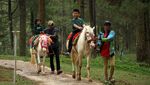 Mengisi Liburan di Objek Wisata Hutan Pinus Malino Gowa