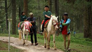 Mengisi Liburan di Objek Wisata Hutan Pinus Malino Gowa