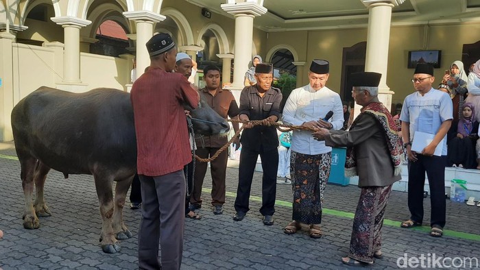 Pemkab Kudus menyerahkan kerbau kurban di Masjid Agung Kudus, Kamis (29/6/2023),