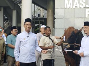 Heru Budi Kurban Sapi Limosin Seberat 1 Ton di Balai Kota
