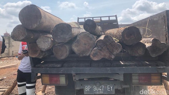 Polisi mengamankan 84 ton kayu mahang ilegal asal Riau di Pelabuhan Sagulung, Kota Batam.