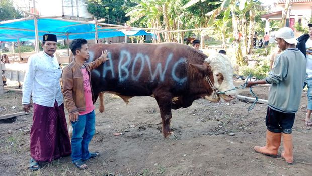 Prabowo salurkan hewan kurban di Jawa Timur