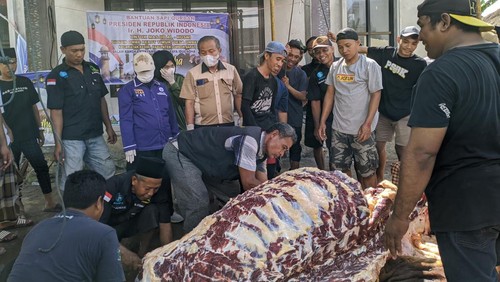 Proses penyembelihan sapi jumbo berbobot 1,04 ton sumbangan Presiden Joko Widodo (Jokowi) di Dusun Ombererot Timur, Desa Ombe, Kecamatan Kediri, Lombok Barat, NTB, Kamis (29/6/2023). (Ahmad Viqi/detikBali)