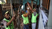 Nantinya hewan kurban ini akan dibagikan kepada yang berhak di sekitar masjid. 